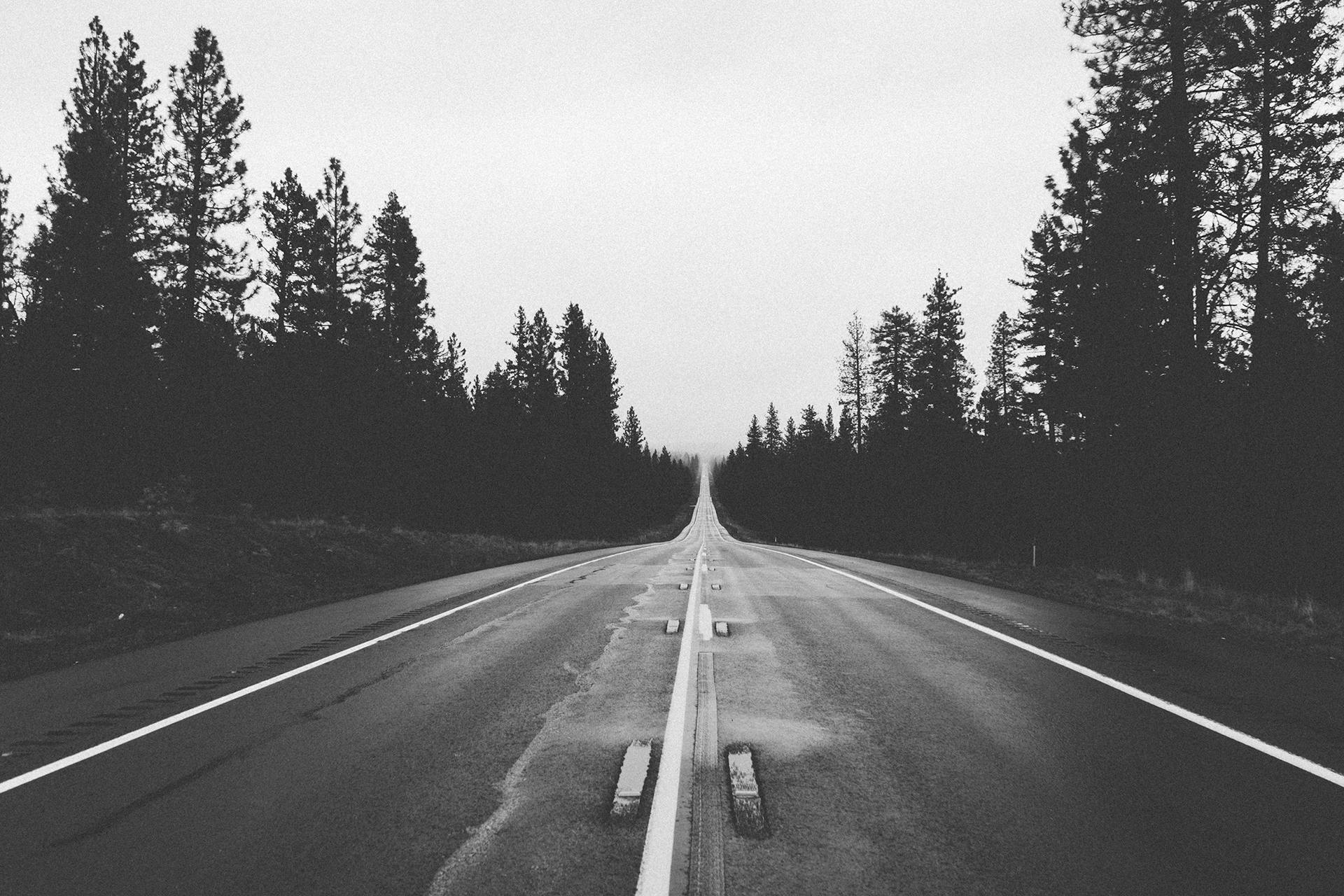 Stay On These Roads [1988]