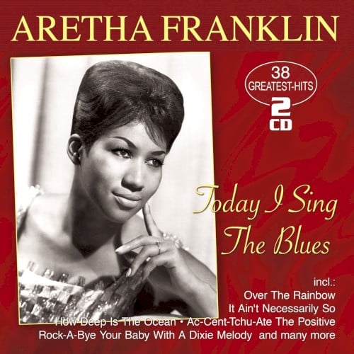 You Sing The Hits Of Aretha Franklin [2004]