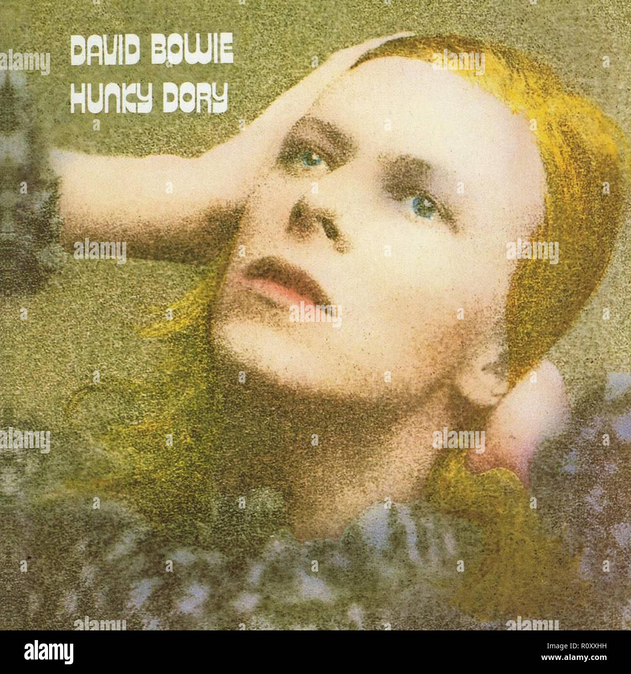 Hunky Dory