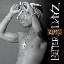 Better Dayz Disc 1