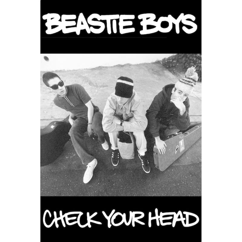 Check Your Head [1992]