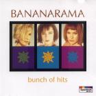 Bunch Of Hits